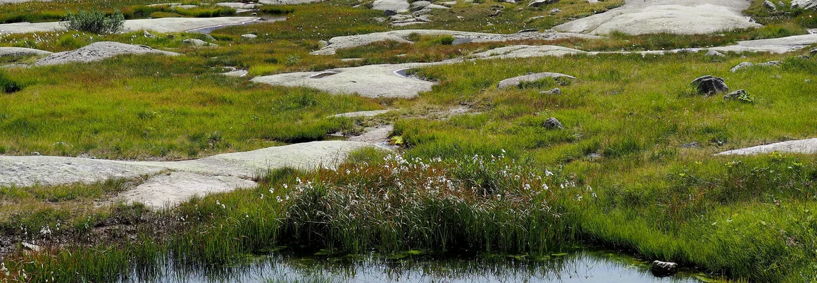 Kleiner See in felsiger Landschaft
